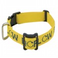 dog_collar_yellow